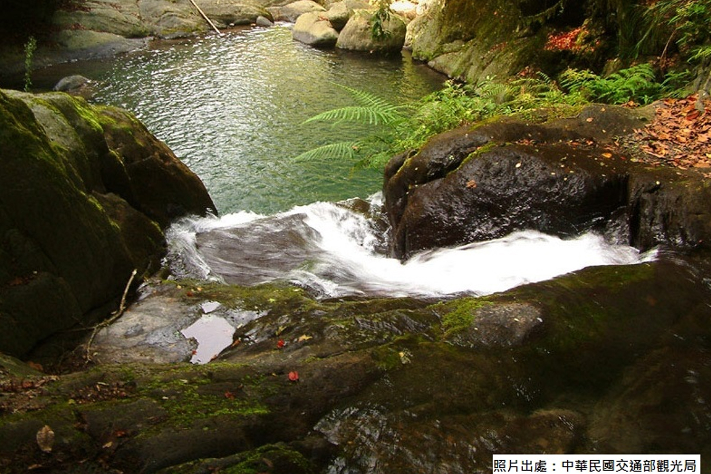 Blog