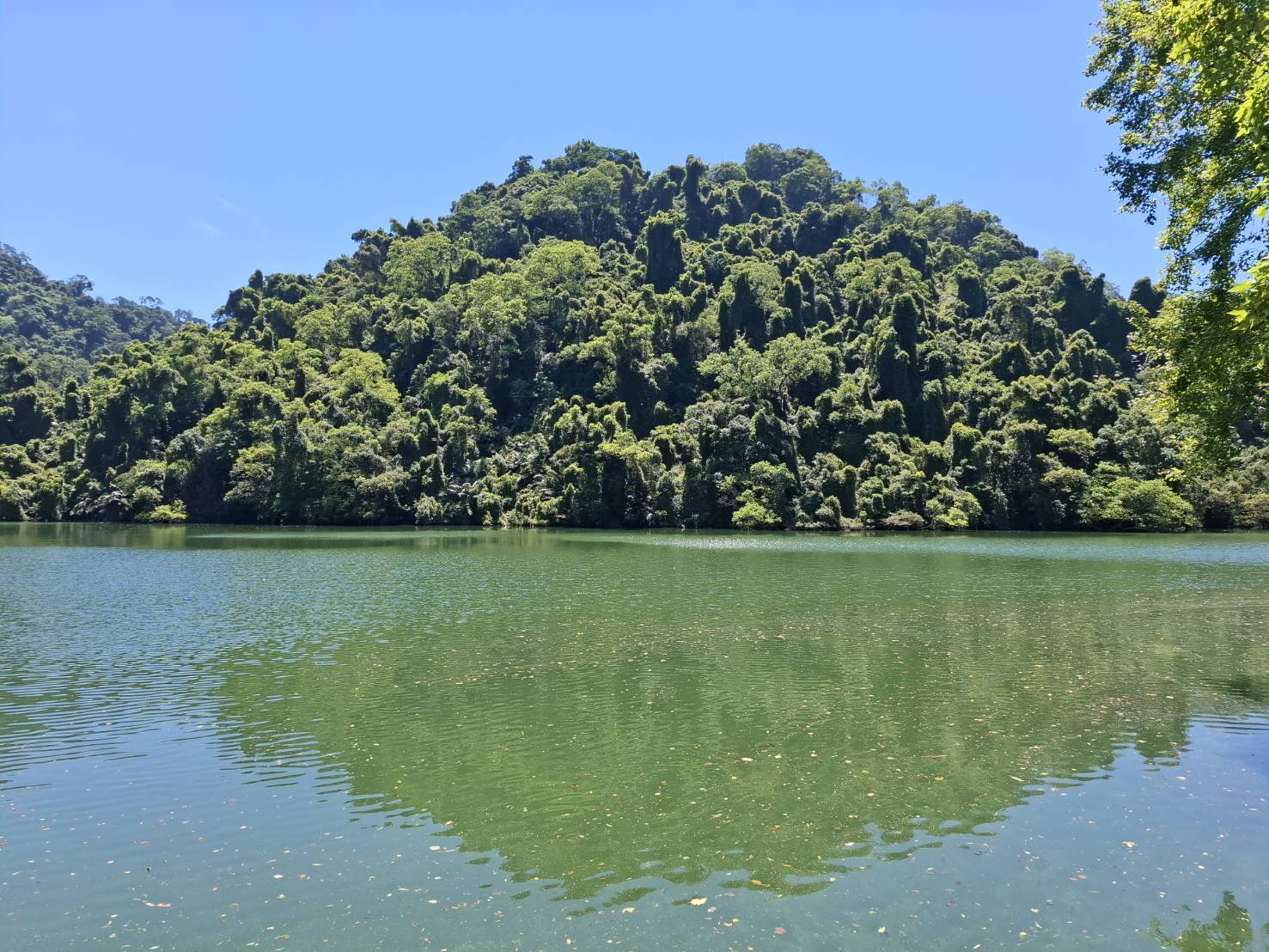 後慈湖秘境之旅